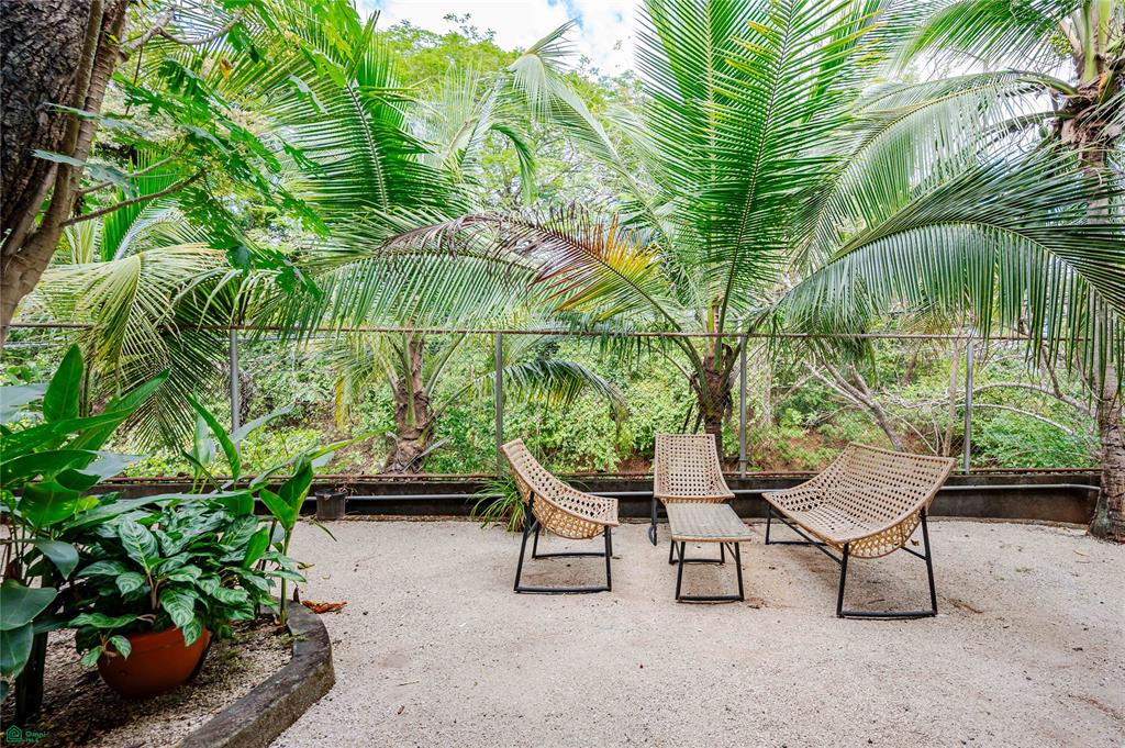 Cornett Retreat: High-Performing Multi-Unit Investment Near Playa Grande 