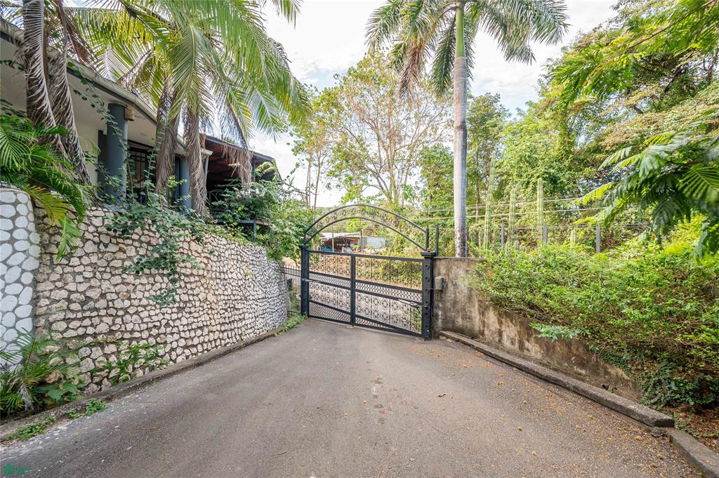 Cornett Retreat: High-Performing Multi-Unit Investment Near Playa Grande 
