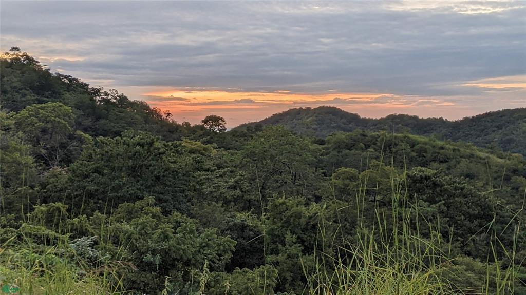 Pacific Heights Lot 22B