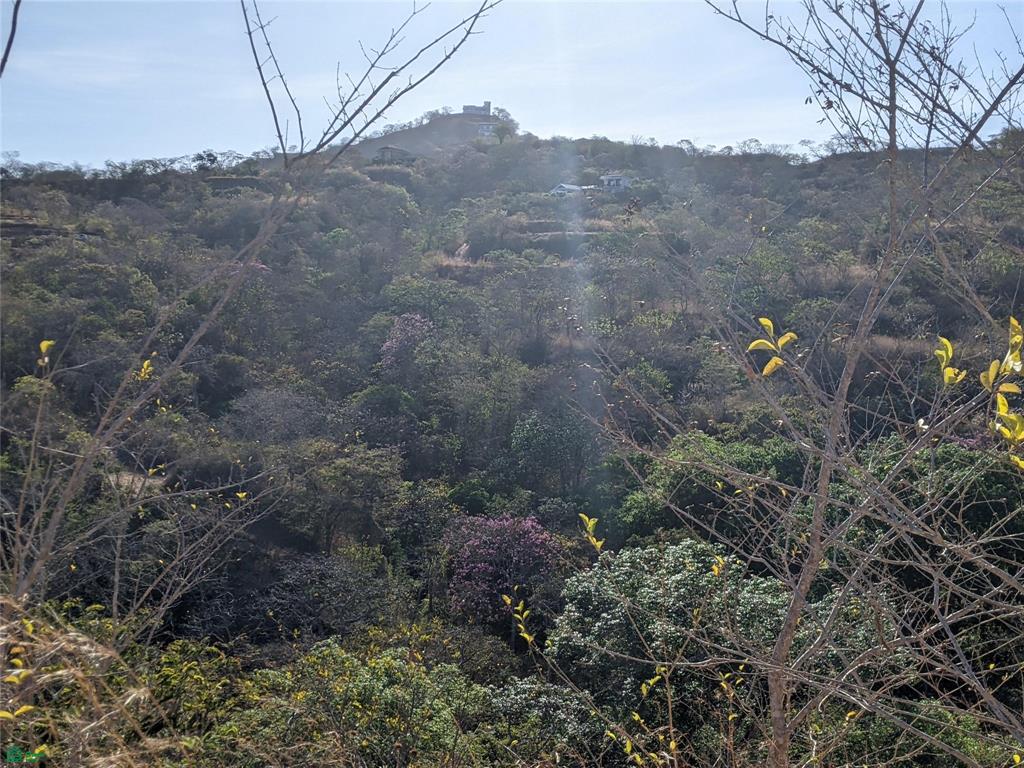 Pacific Heights Lot 22B