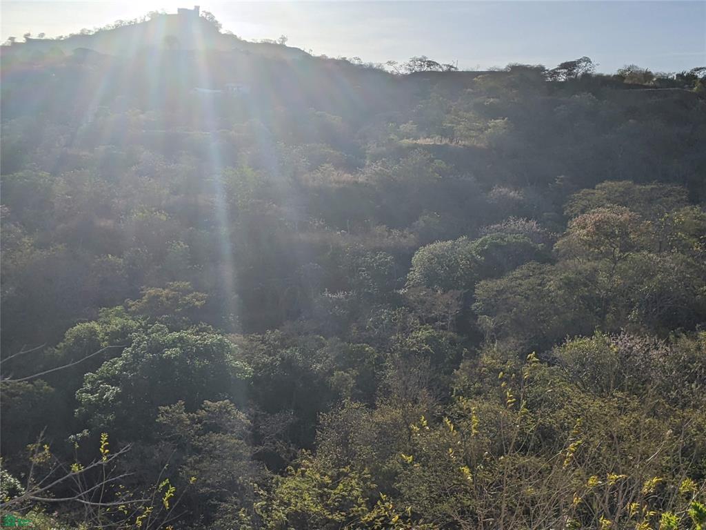 Pacific Heights Lot 22B