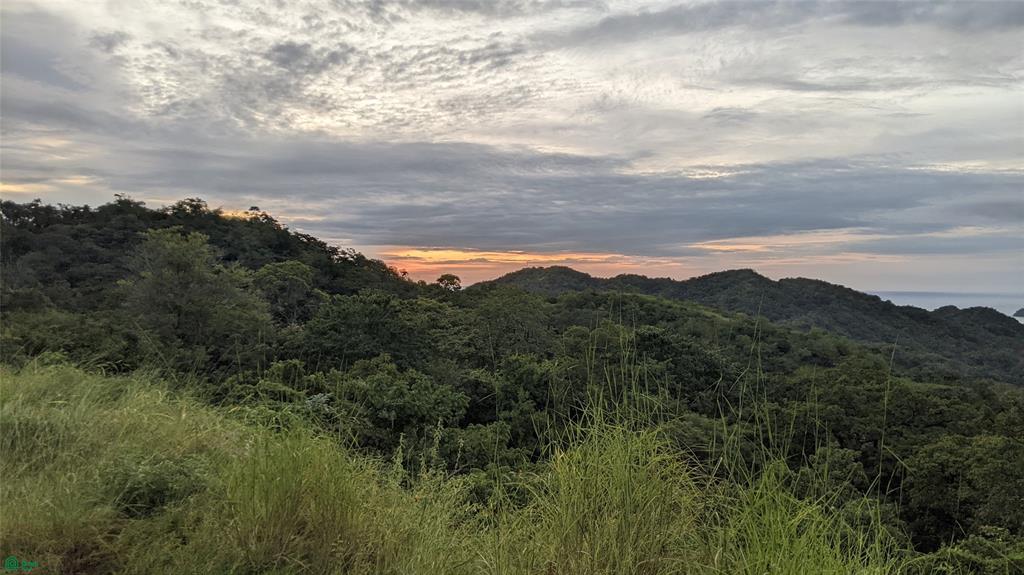 Pacific Heights Lot 22B