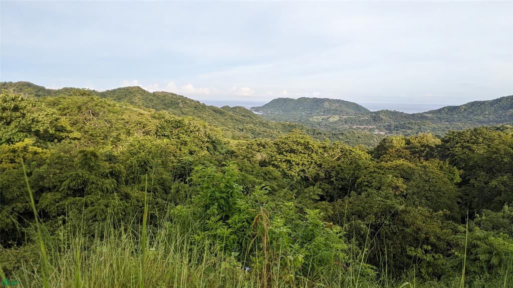 Pacific Heights Lot 22B