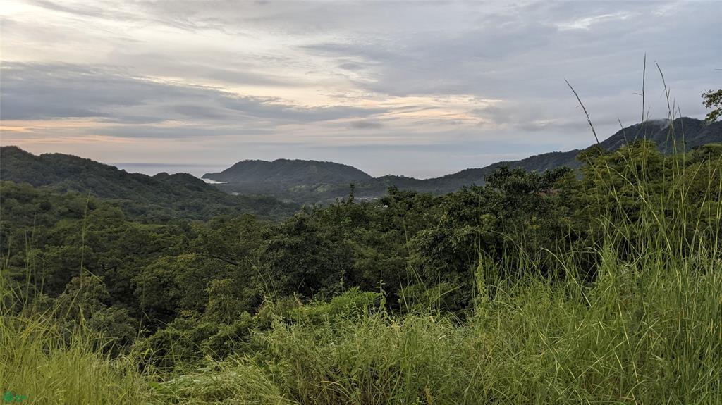 Pacific Heights Lot 22B