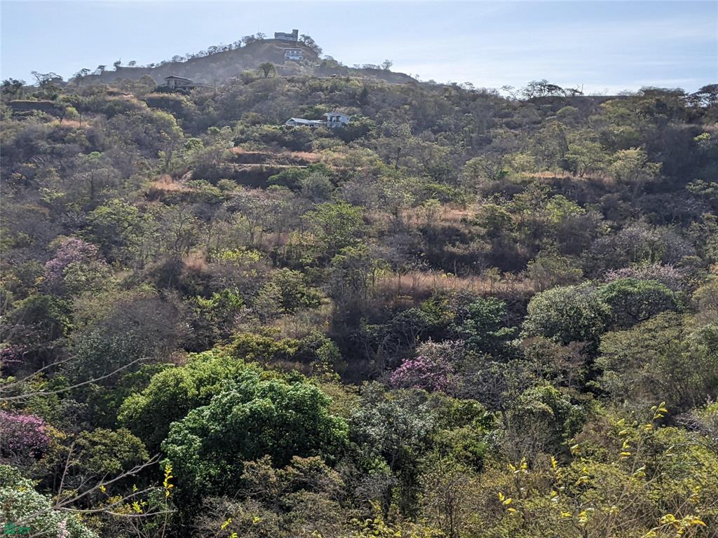 Pacific Heights Lot 22B