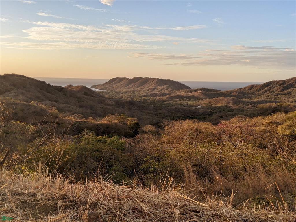 Pacific Heights Lot 22B