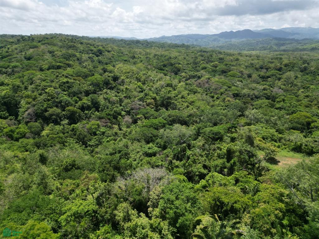 San Juanillo Farm: Large-Scale Ocean View Land with Investment Potential