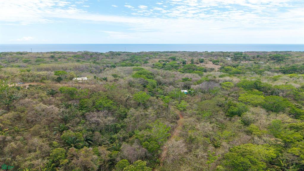 San Juanillo Farm: Large-Scale Ocean View Land with Investment Potential
