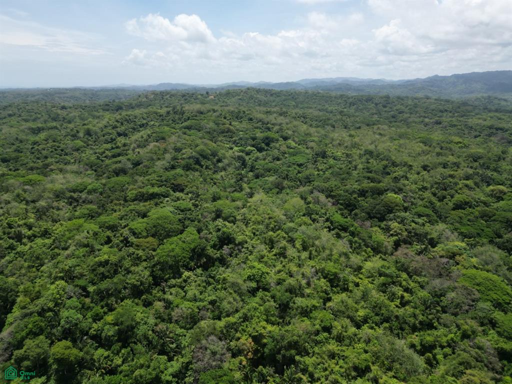 San Juanillo Farm: Large-Scale Ocean View Land with Investment Potential