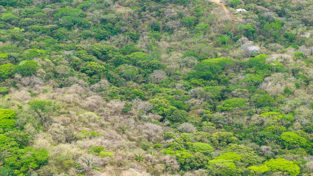 San Juanillo Farm: Large-Scale Ocean View Land with Investment Potential