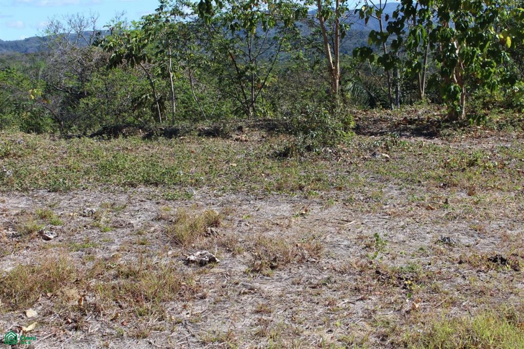 San Juanillo Farm: Large-Scale Ocean View Land with Investment Potential