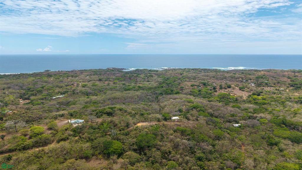 San Juanillo Farm: Large-Scale Ocean View Land with Investment Potential