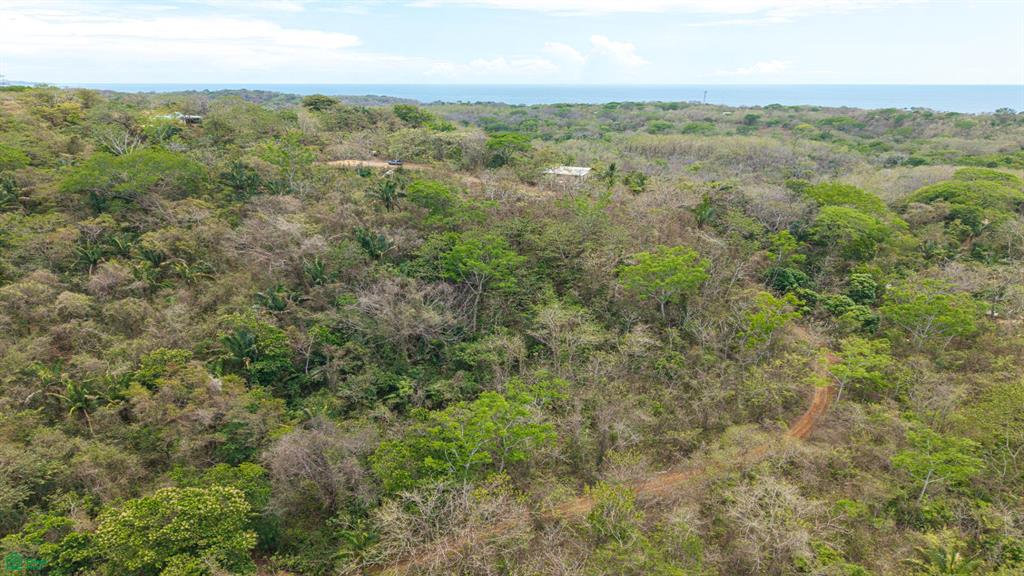 San Juanillo Farm: Large-Scale Ocean View Land with Investment Potential