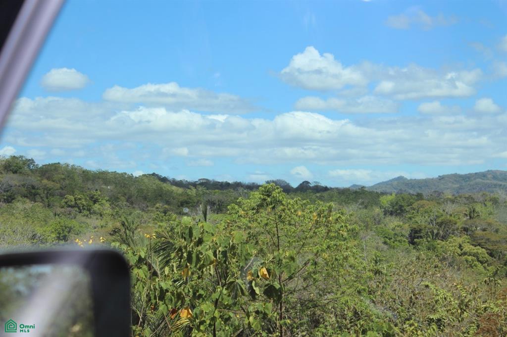 San Juanillo Farm: Large-Scale Ocean View Land with Investment Potential