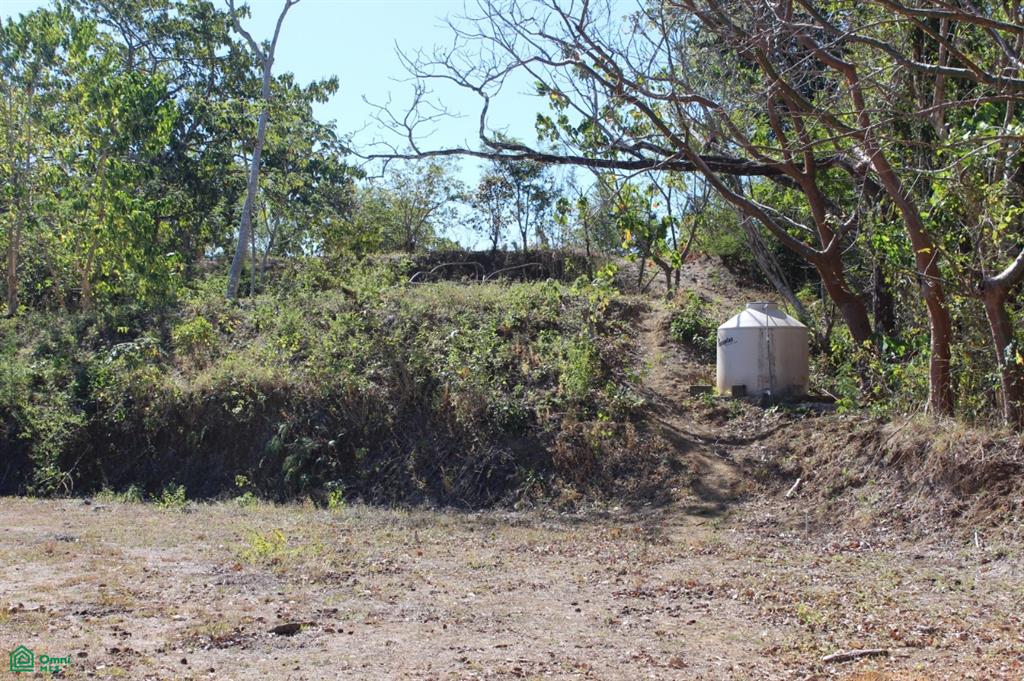 San Juanillo Farm: Large-Scale Ocean View Land with Investment Potential