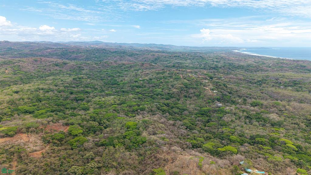 San Juanillo Farm: Large-Scale Ocean View Land with Investment Potential