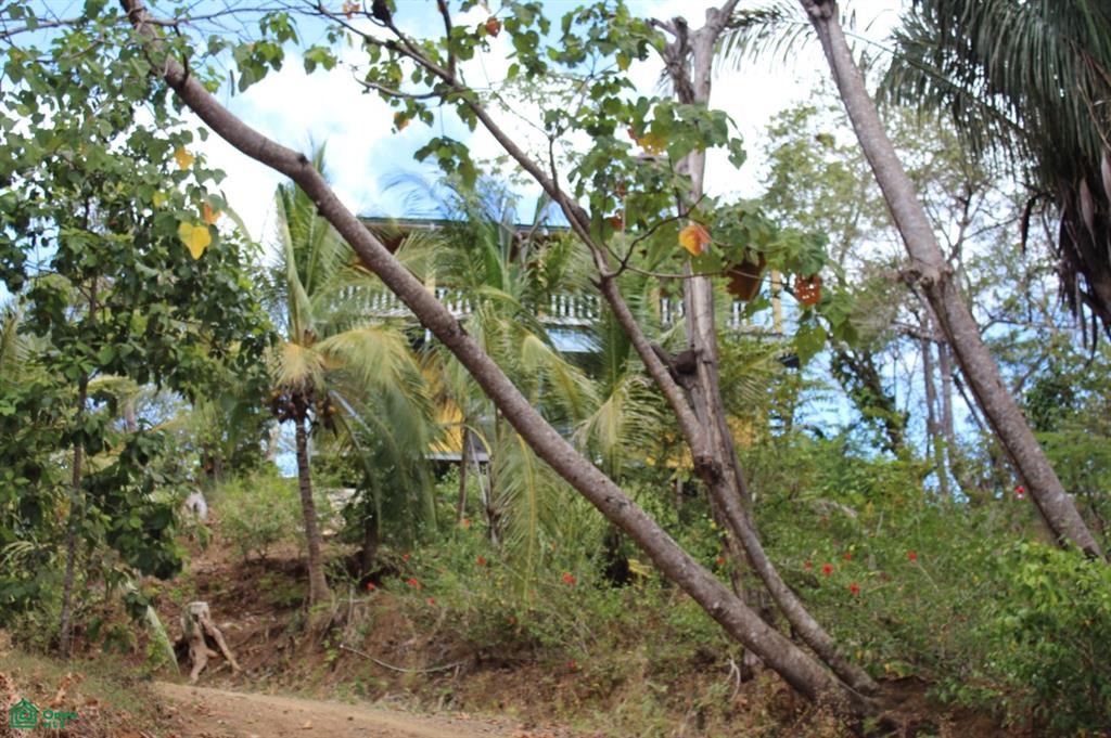 San Juanillo Farm: Large-Scale Ocean View Land with Investment Potential