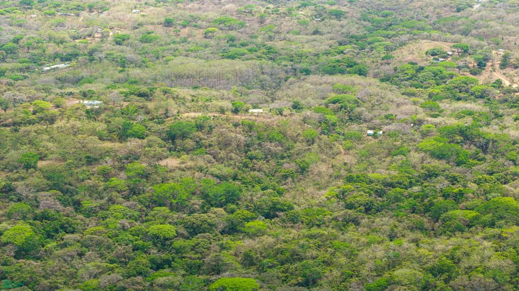 San Juanillo Farm: Large-Scale Ocean View Land with Investment Potential