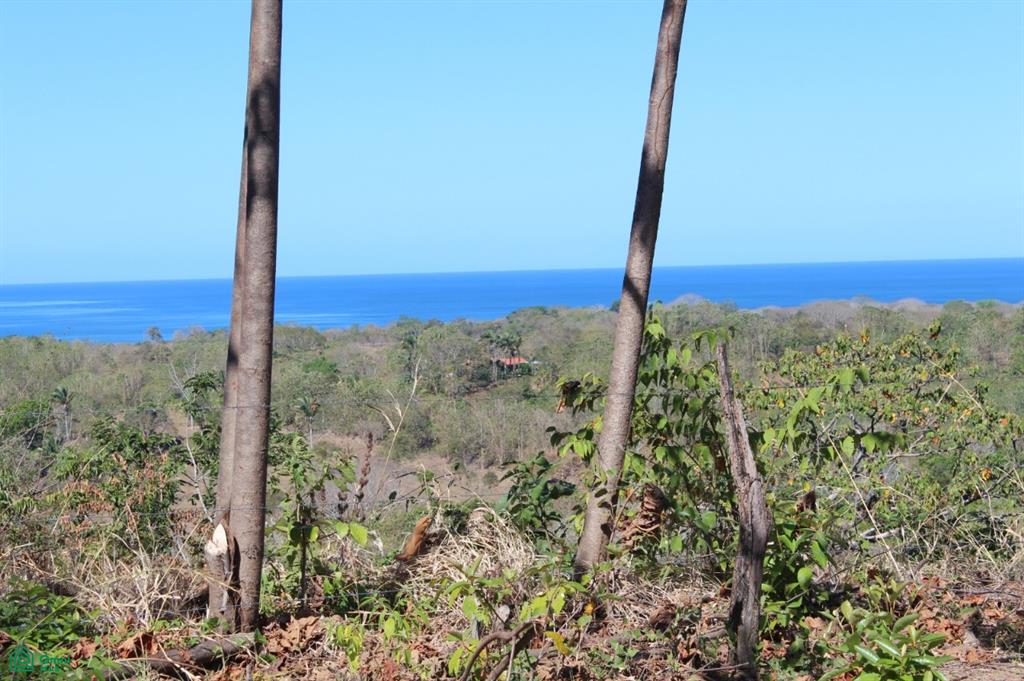 San Juanillo Farm: Large-Scale Ocean View Land with Investment Potential