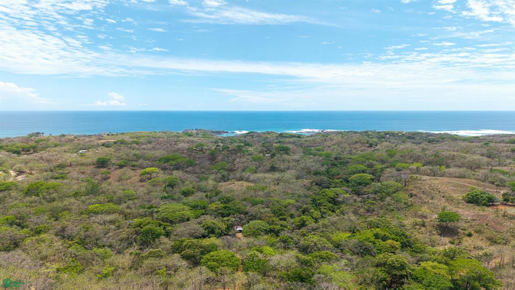 San Juanillo Farm: Large-Scale Ocean View Land with Investment Potential