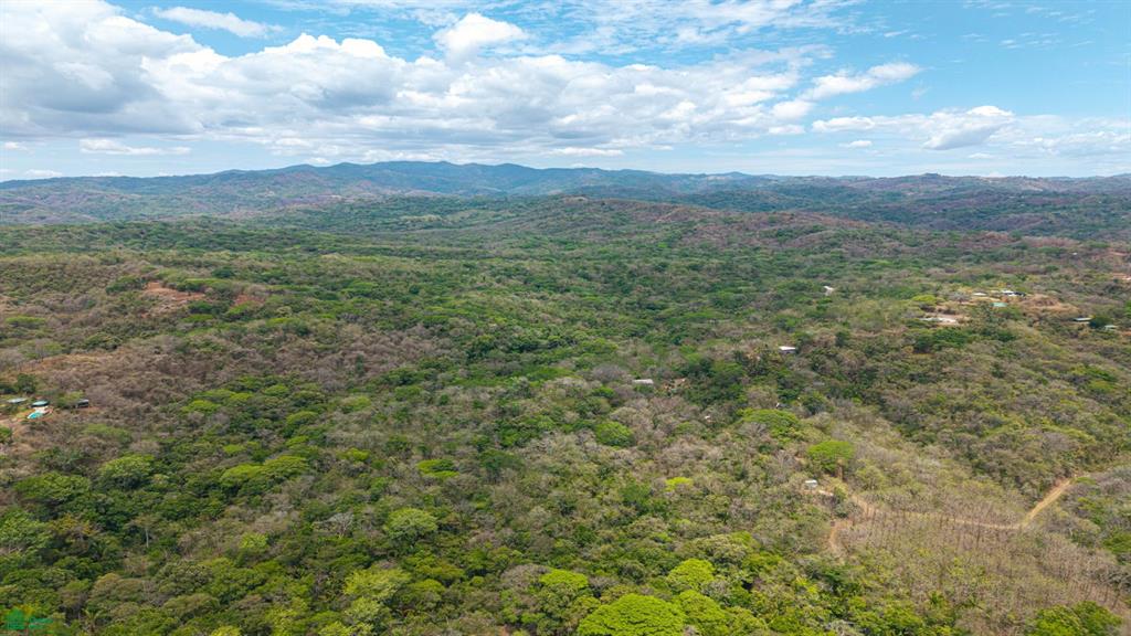 San Juanillo Farm: Large-Scale Ocean View Land with Investment Potential