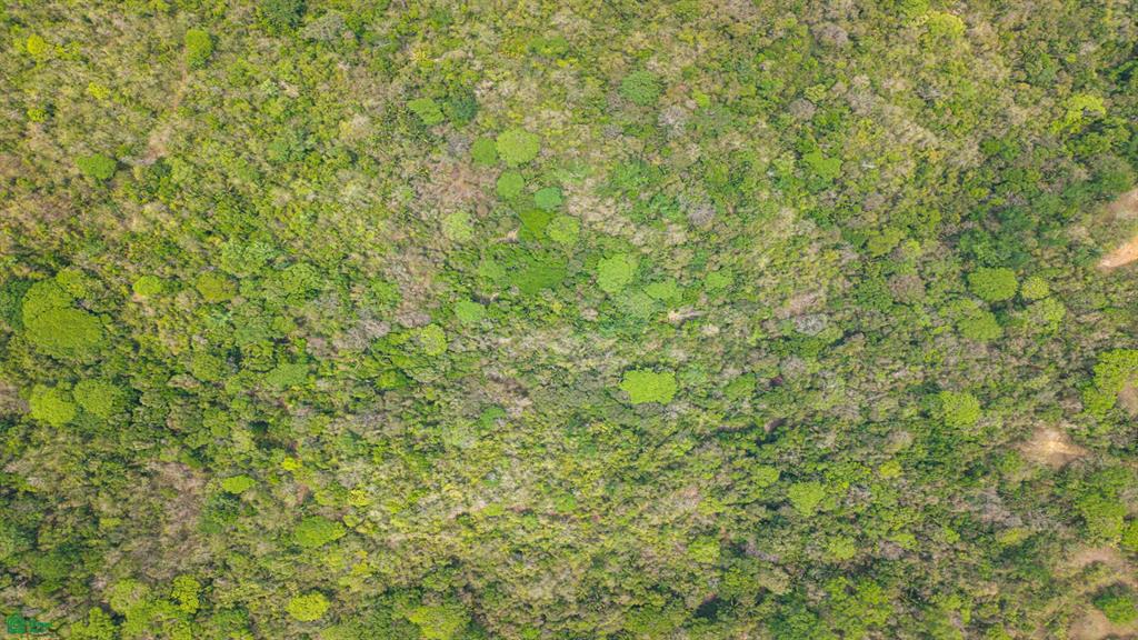 San Juanillo Farm: Large-Scale Ocean View Land with Investment Potential