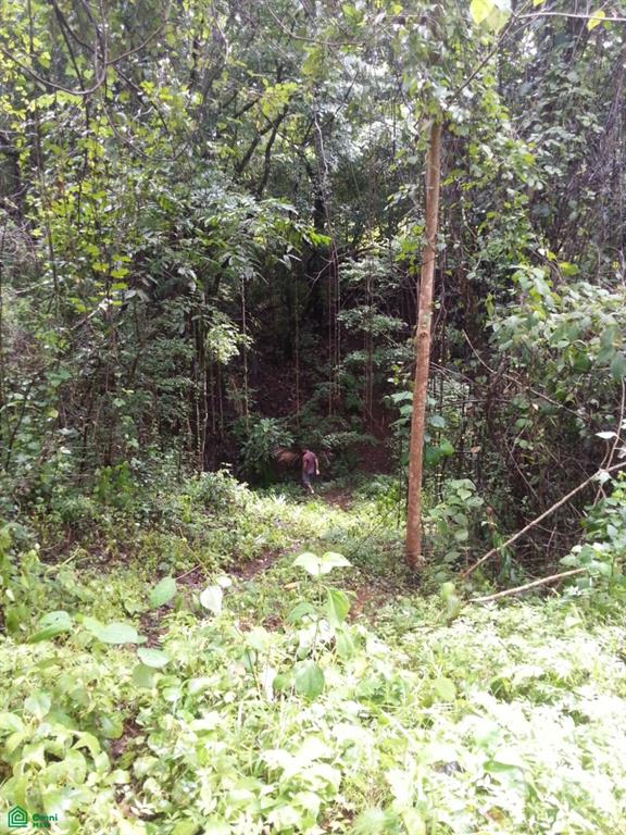 San Juanillo Farm: Large-Scale Ocean View Land with Investment Potential