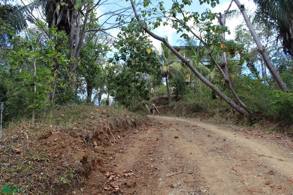 San Juanillo Farm: Large-Scale Ocean View Land with Investment Potential