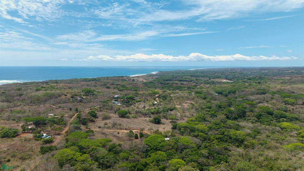 San Juanillo Farm: Large-Scale Ocean View Land with Investment Potential