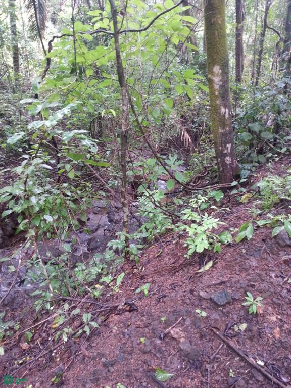 San Juanillo Farm: Large-Scale Ocean View Land with Investment Potential