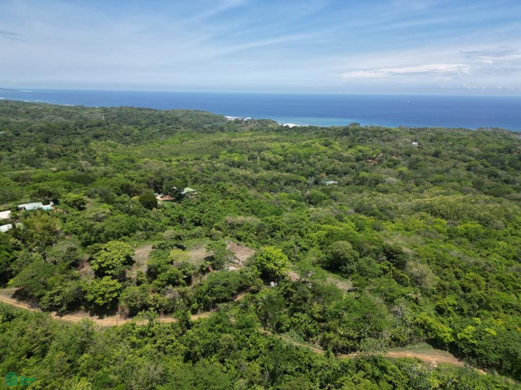 San Juanillo Farm: Large-Scale Ocean View Land with Investment Potential