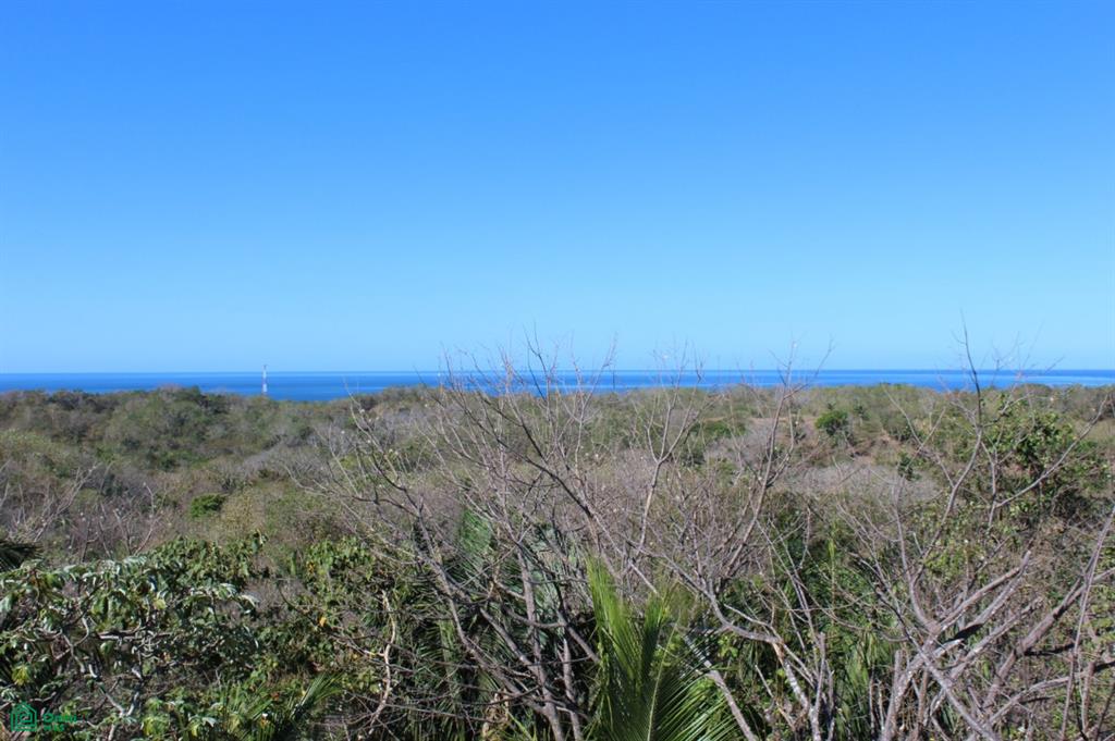 San Juanillo Farm: Large-Scale Ocean View Land with Investment Potential