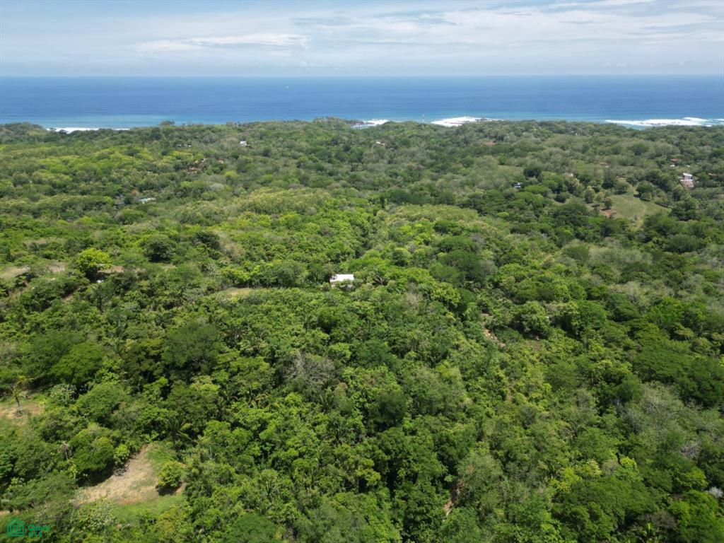 San Juanillo Farm: Large-Scale Ocean View Land with Investment Potential