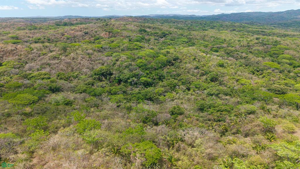 San Juanillo Farm: Large-Scale Ocean View Land with Investment Potential