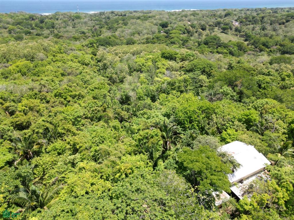 San Juanillo Farm: Large-Scale Ocean View Land with Investment Potential