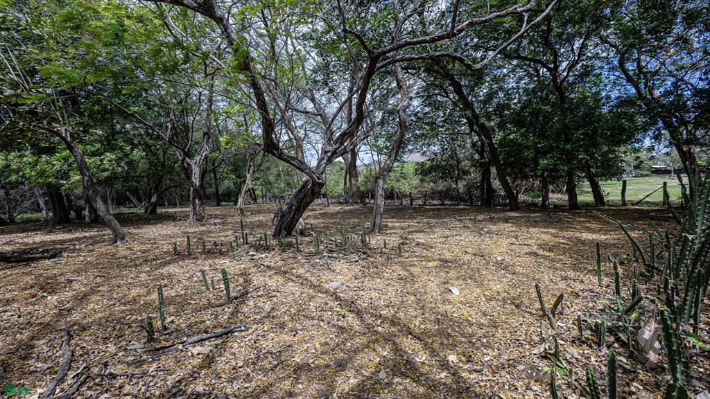 Lot Potrero: Titled Beachfront Development 