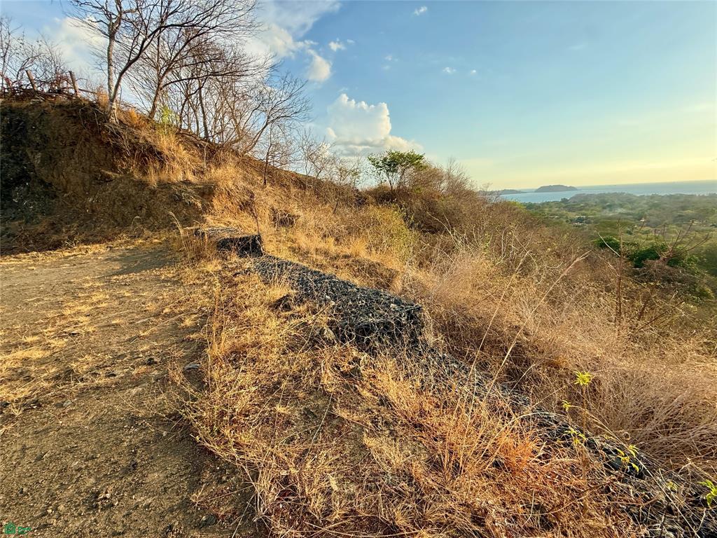 La Marcela Lot 19 Spectacular Ocean View Tropical Homesite Homesite in Potrero