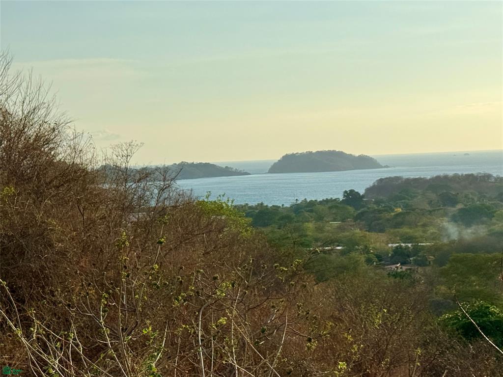 La Marcela Lot 19 Spectacular Ocean View Tropical Homesite Homesite in Potrero
