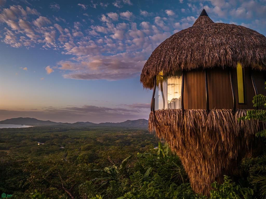 Cocoon