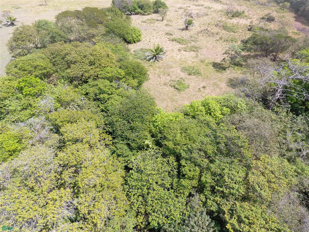 Los Rancho Farm