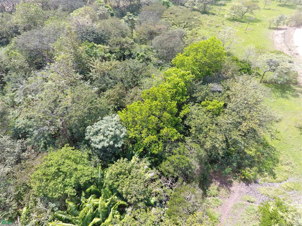 Los Rancho Farm
