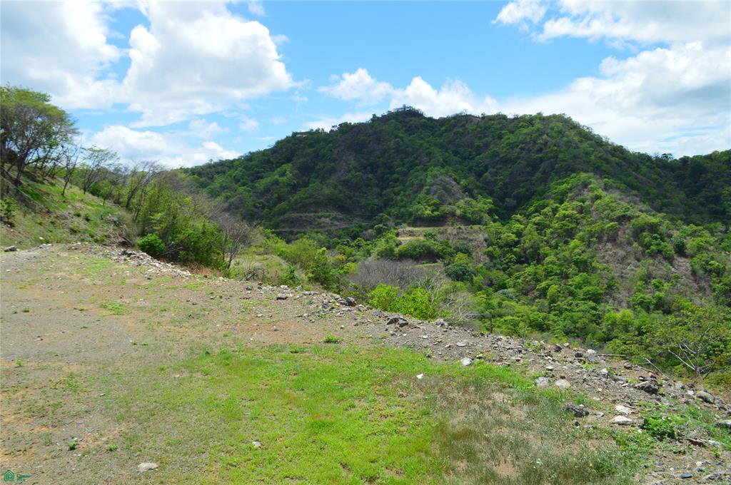 Pacific Heights Lot #20
