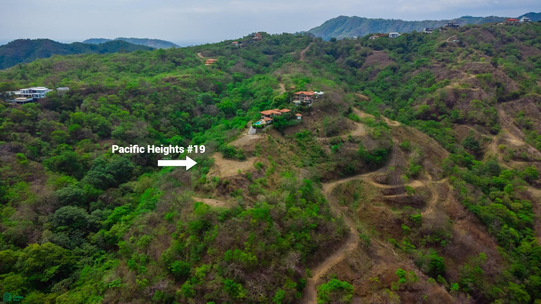 Pacific Heights Lot #19