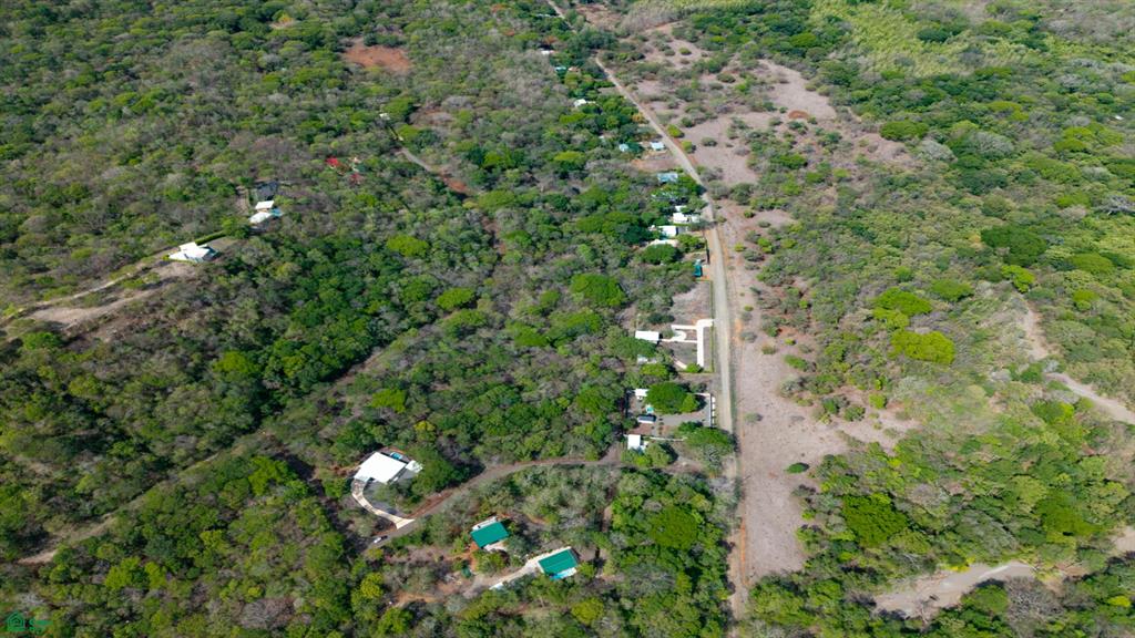 Pura Jungla Reserve | Titled Homesites in Pura Jungla Preserve, Guanacaste
