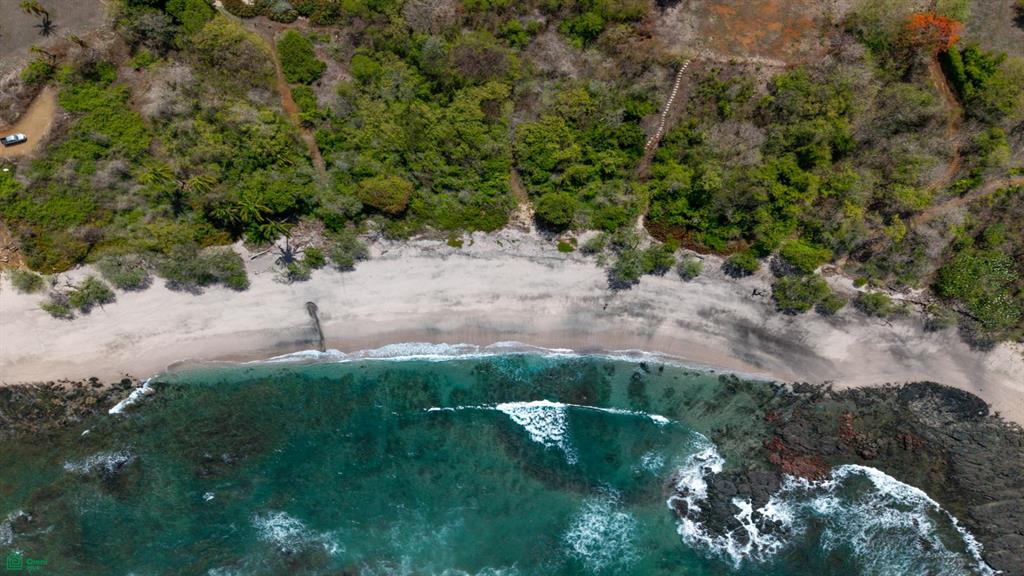 Pura Jungla Reserve | Titled Homesites in Pura Jungla Preserve, Guanacaste