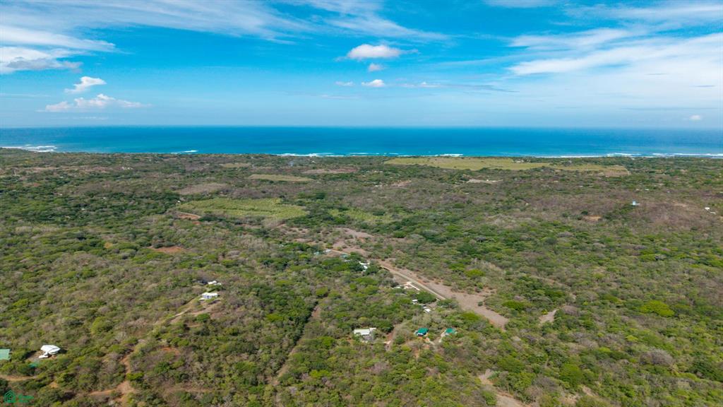 Pura Jungla Reserve | Titled Homesites in Pura Jungla Preserve, Guanacaste