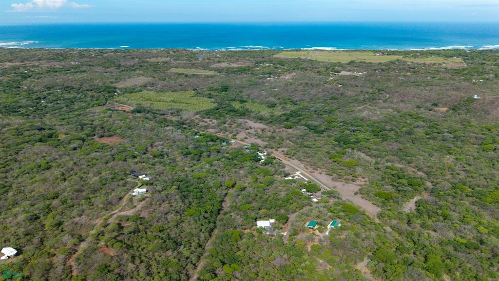 Pura Jungla Reserve | Titled Homesites in Pura Jungla Preserve, Guanacaste