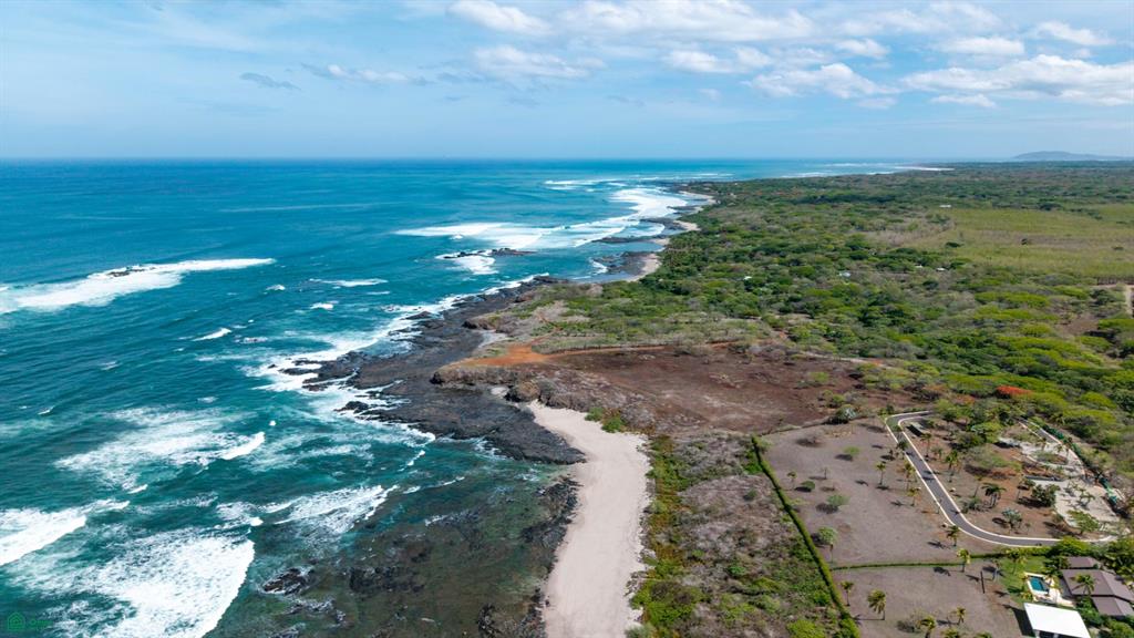Pura Jungla Reserve | Titled Homesites in Pura Jungla Preserve, Guanacaste