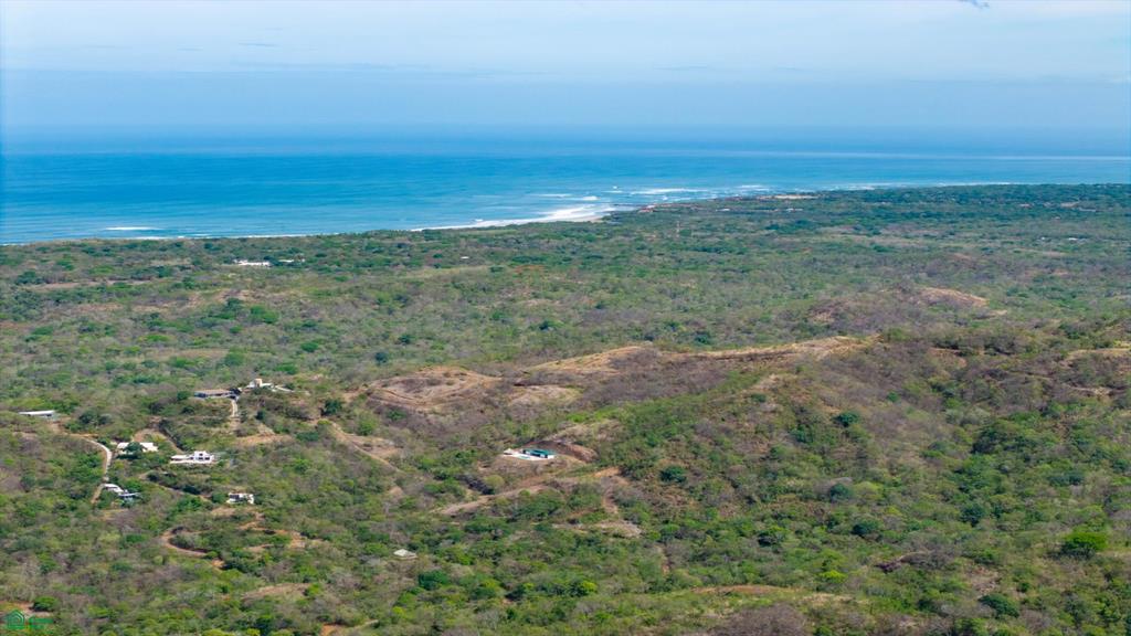 Pura Jungla Reserve | Titled Homesites in Pura Jungla Preserve, Guanacaste