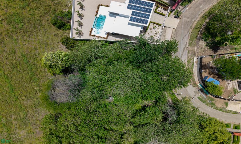 Flamingo Estates, Lot 16